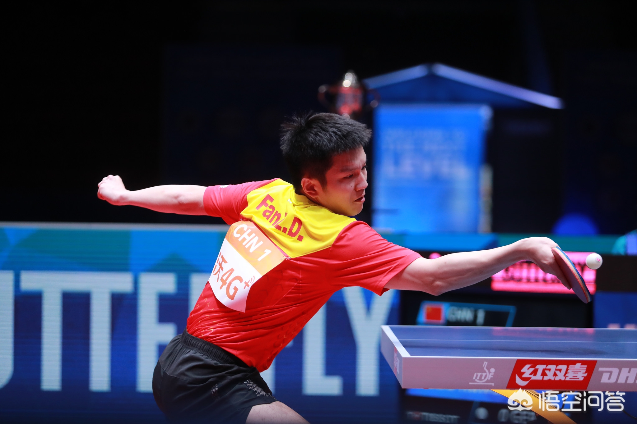 阵容虽然看 阵容虽然看