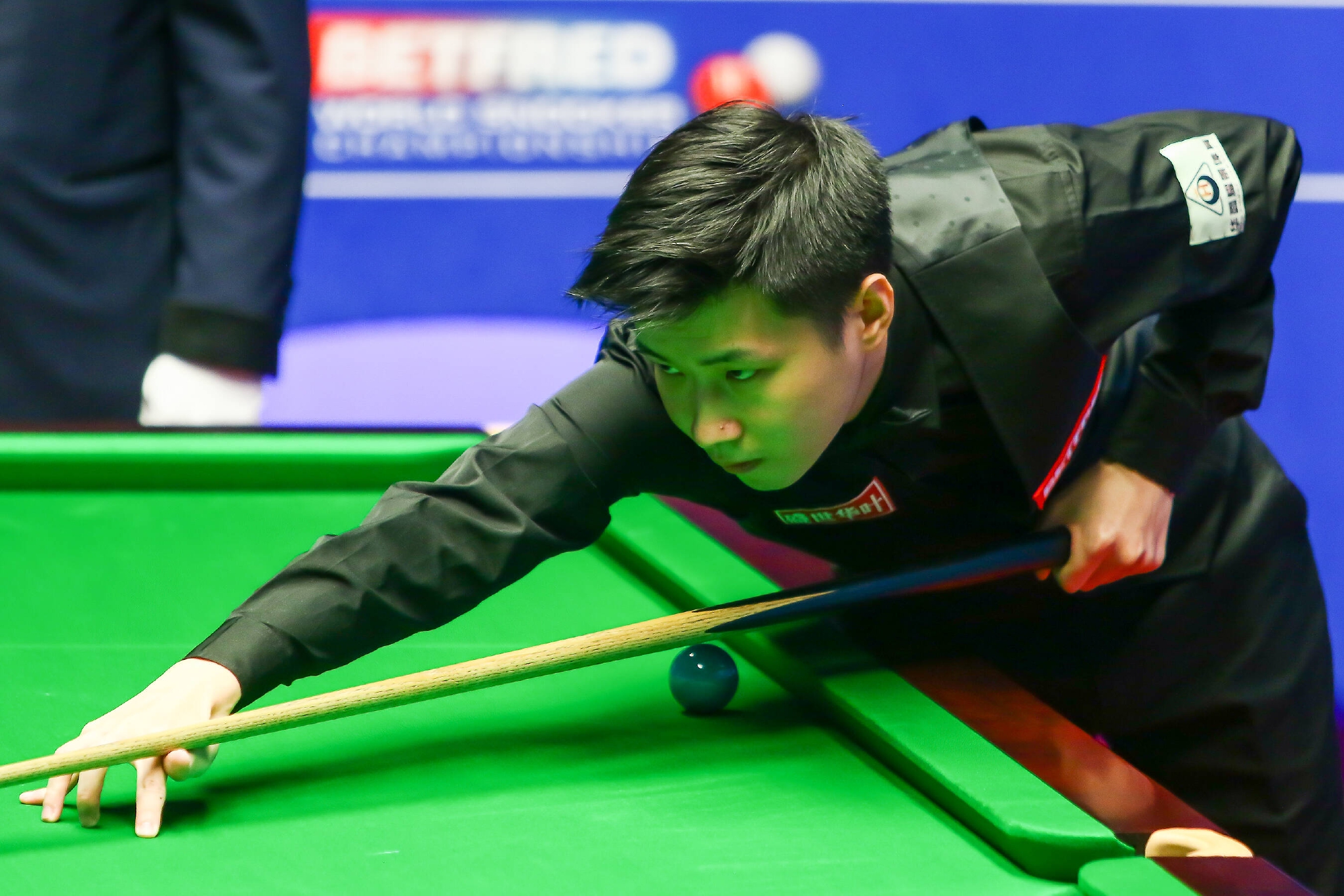 这一评论不 这一评论不